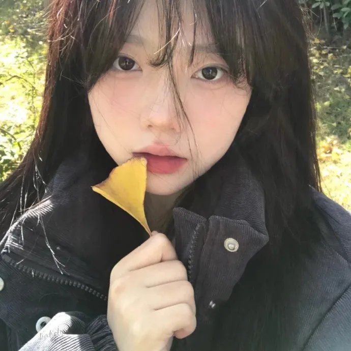 爸爸去哪儿第四季